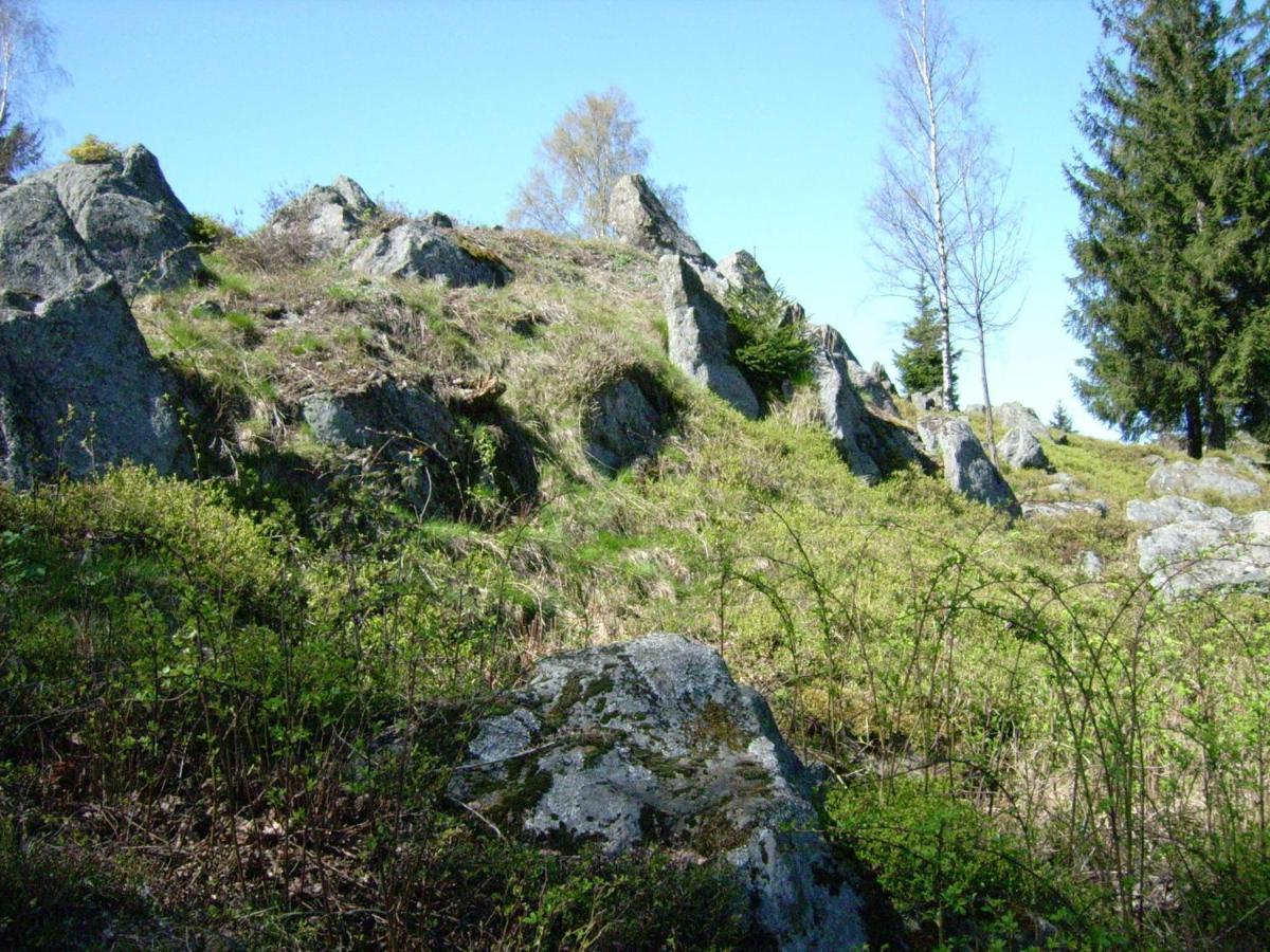 Holiday Home Near The Ski Slope Stadlern Eksteriør bilde